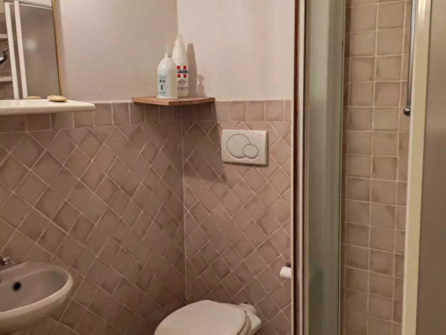 Immagine 11 di Appartamento in affitto  a Cesenatico