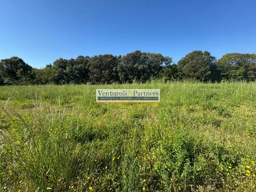 Immagine 3 di Terreno in vendita  in Via Panoramica a Manerba Del Garda