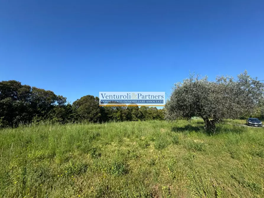 Immagine 5 di Terreno in vendita  in Via Panoramica a Manerba Del Garda