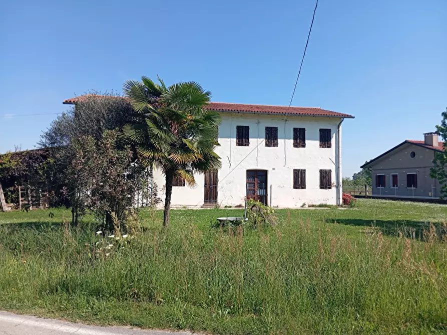 Immagine 2 di Rustico / casale in vendita  a Trebaseleghe
