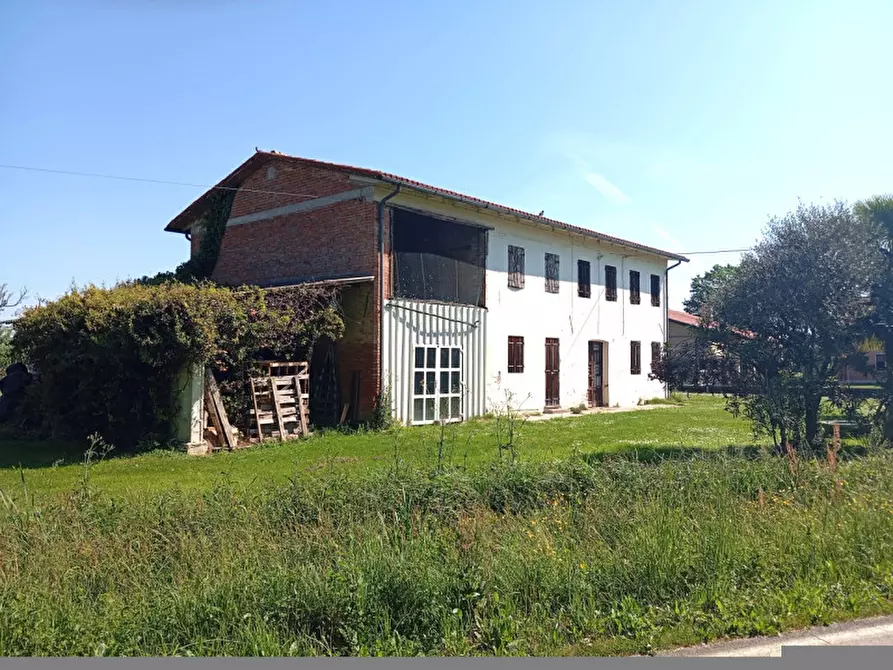 Immagine 3 di Rustico / casale in vendita  a Trebaseleghe
