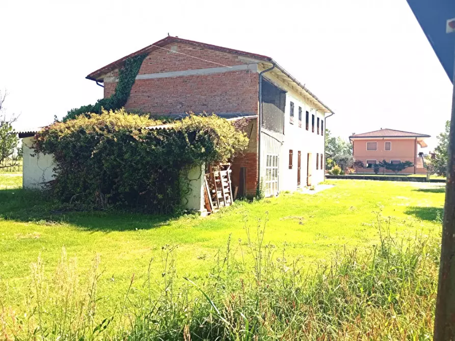 Immagine 6 di Rustico / casale in vendita  a Trebaseleghe