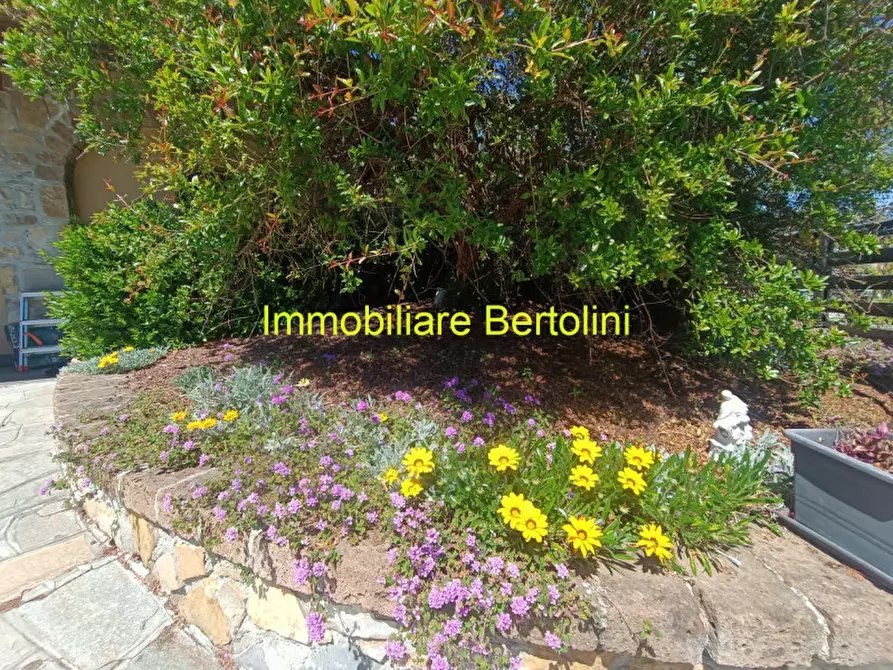 Immagine 64 di Villa in vendita  in ZONA SOLARO a San Remo