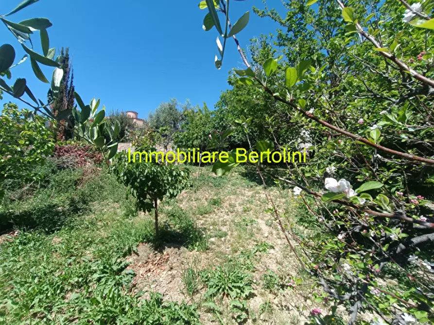 Immagine 82 di Villa in vendita  in ZONA SOLARO a San Remo