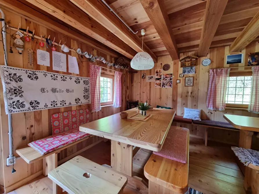 Immagine 3 di Casa indipendente in vendita  a Romeno