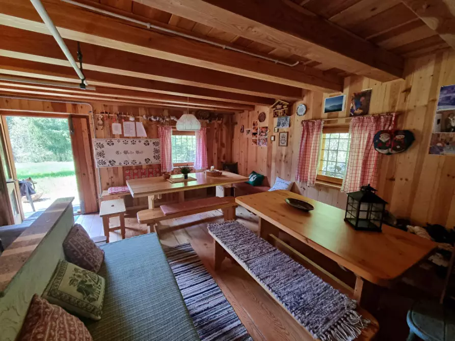 Immagine 6 di Casa indipendente in vendita  a Romeno