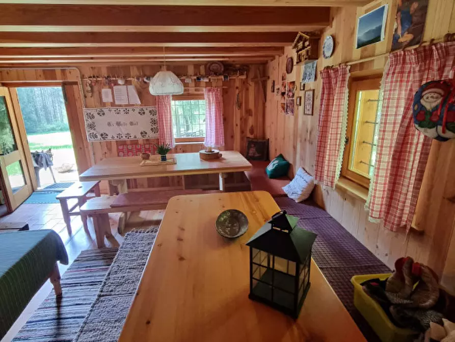 Immagine 10 di Casa indipendente in vendita  a Romeno
