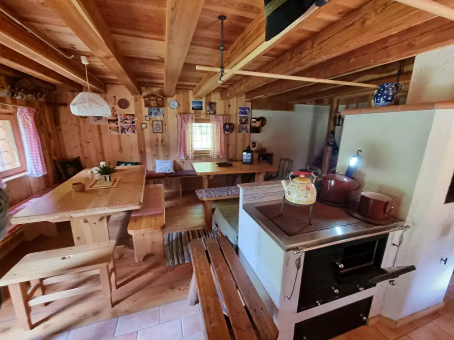 Immagine 23 di Casa indipendente in vendita  a Romeno