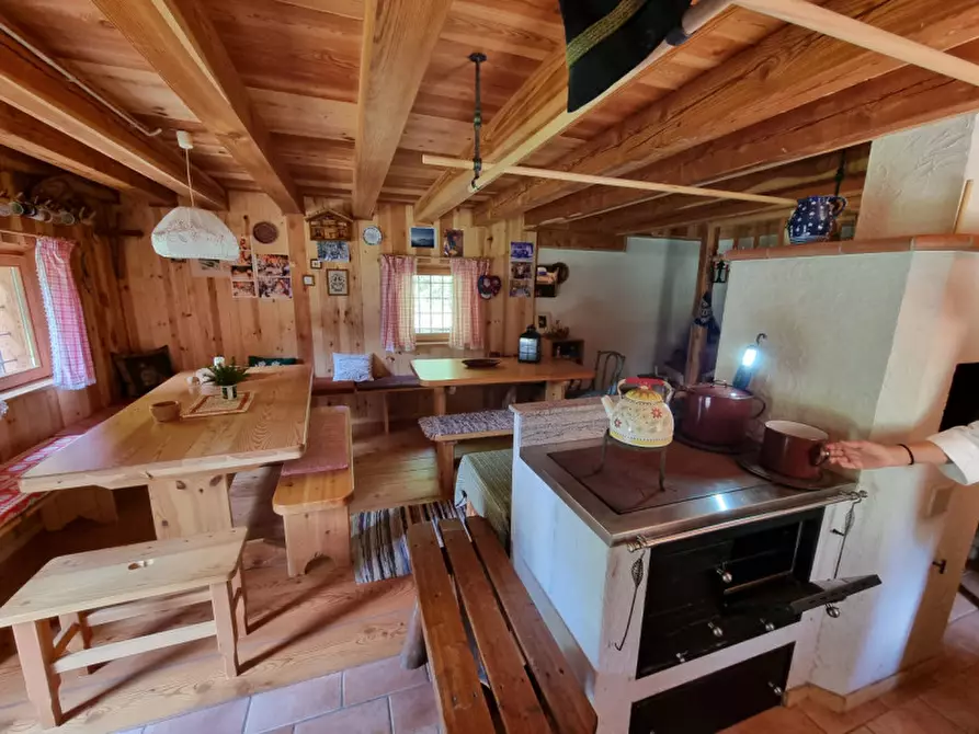 Immagine 24 di Casa indipendente in vendita  a Romeno