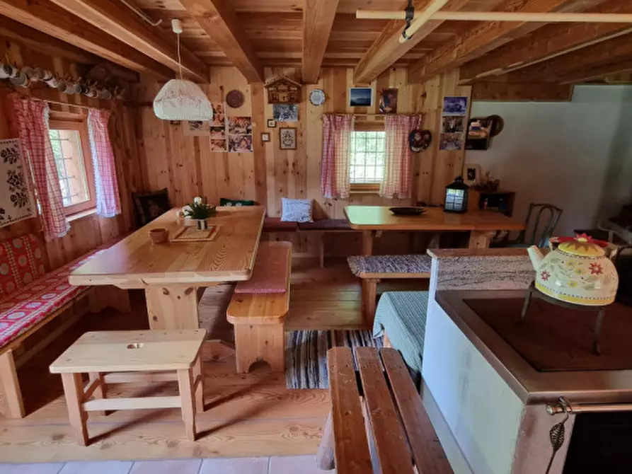 Immagine 25 di Casa indipendente in vendita  a Romeno