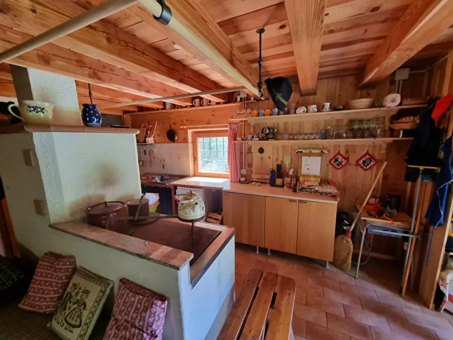 Immagine 29 di Casa indipendente in vendita  a Romeno