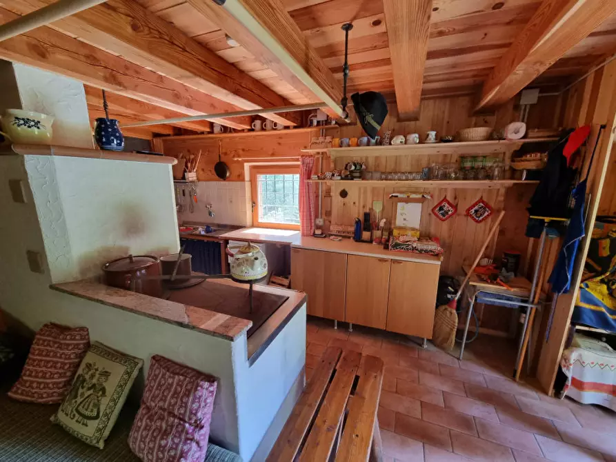 Immagine 30 di Casa indipendente in vendita  a Romeno
