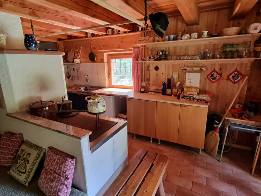 Immagine 31 di Casa indipendente in vendita  a Romeno