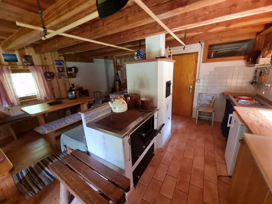 Immagine 35 di Casa indipendente in vendita  a Romeno