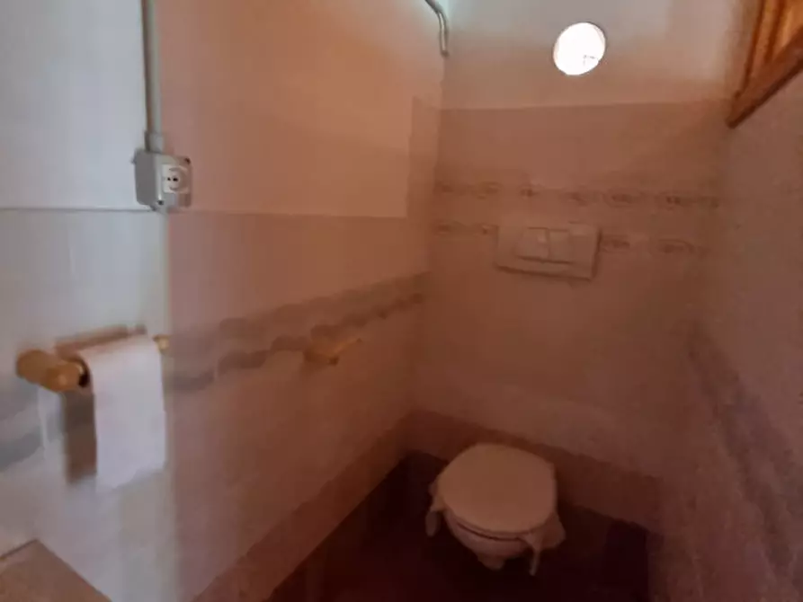 Immagine 38 di Casa indipendente in vendita  a Romeno