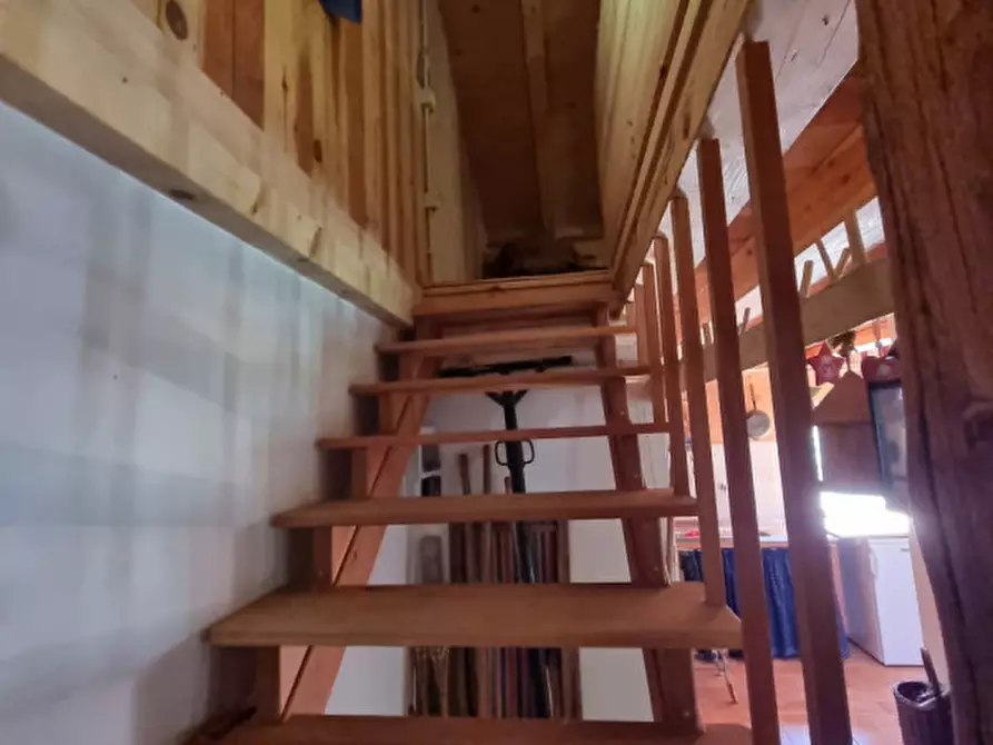 Immagine 39 di Casa indipendente in vendita  a Romeno