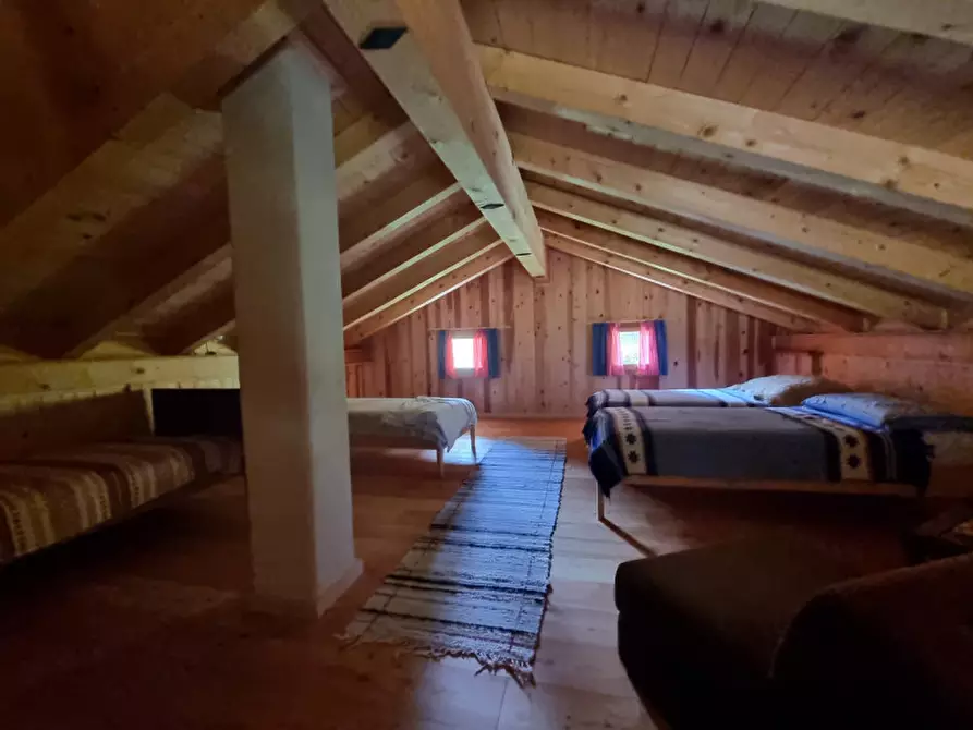 Immagine 40 di Casa indipendente in vendita  a Romeno