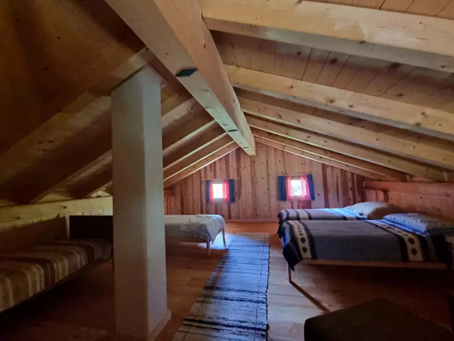 Immagine 41 di Casa indipendente in vendita  a Romeno