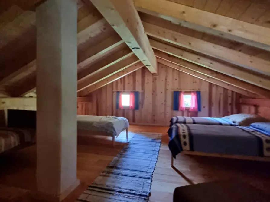 Immagine 42 di Casa indipendente in vendita  a Romeno
