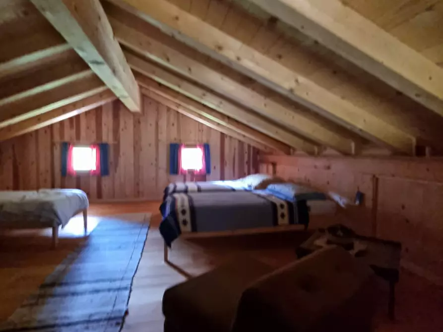 Immagine 43 di Casa indipendente in vendita  a Romeno