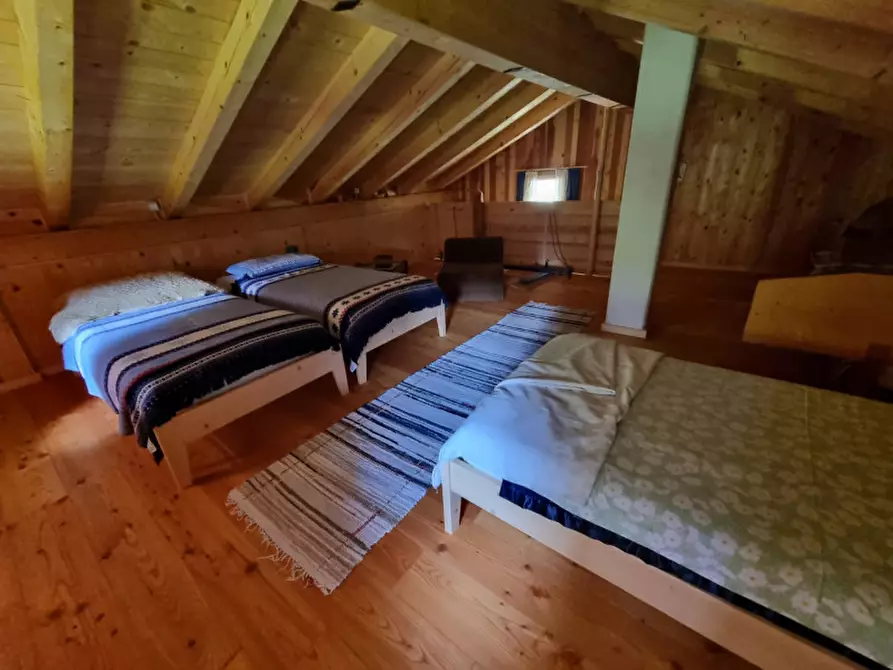 Immagine 45 di Casa indipendente in vendita  a Romeno