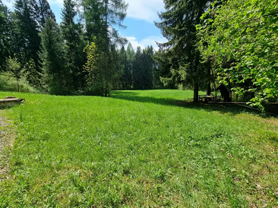 Immagine 46 di Casa indipendente in vendita  a Romeno