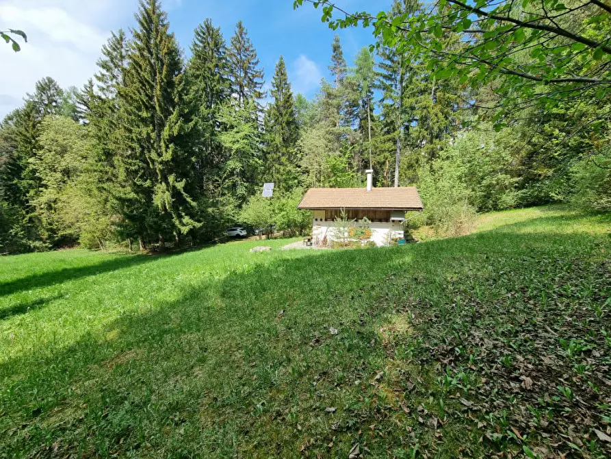 Immagine 48 di Casa indipendente in vendita  a Romeno