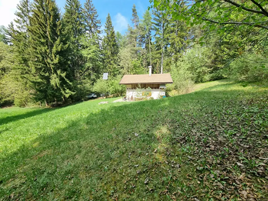 Immagine 49 di Casa indipendente in vendita  a Romeno