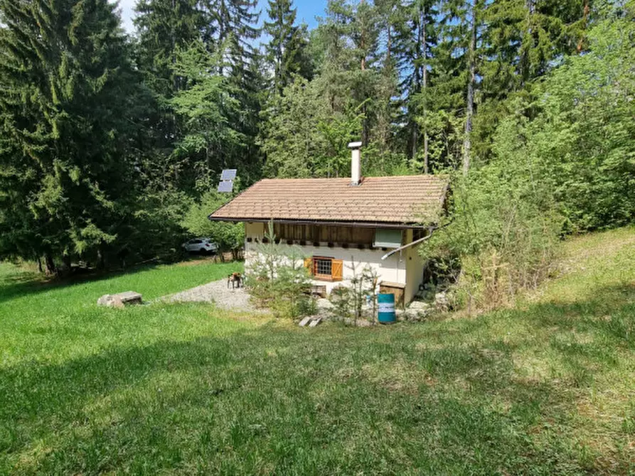 Immagine 51 di Casa indipendente in vendita  a Romeno