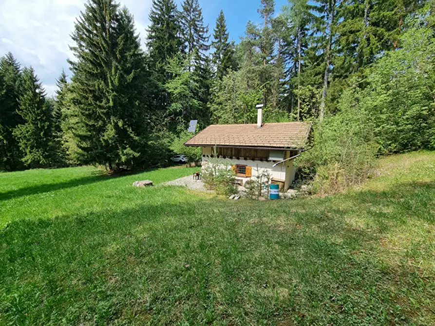 Immagine 52 di Casa indipendente in vendita  a Romeno