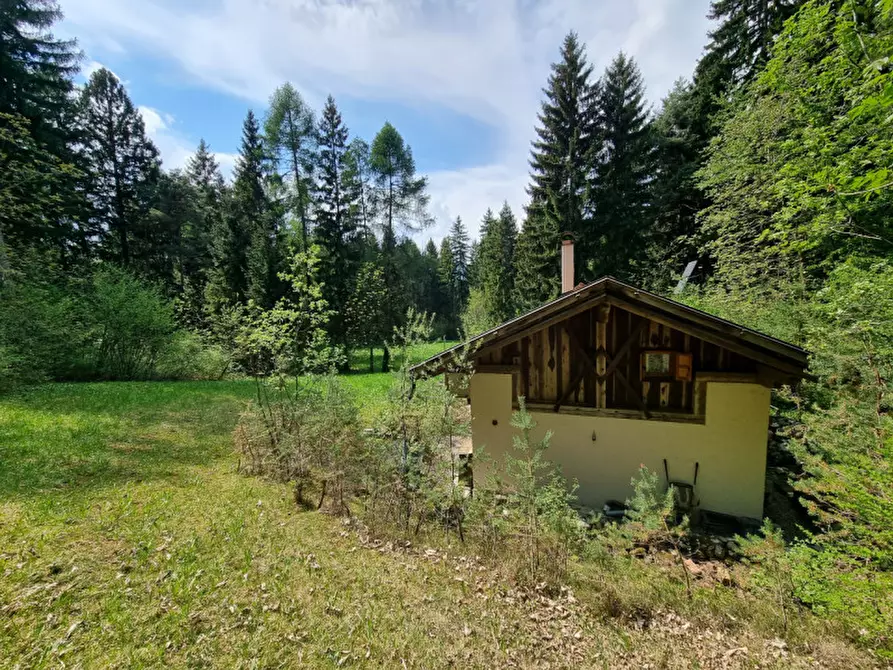 Immagine 53 di Casa indipendente in vendita  a Romeno