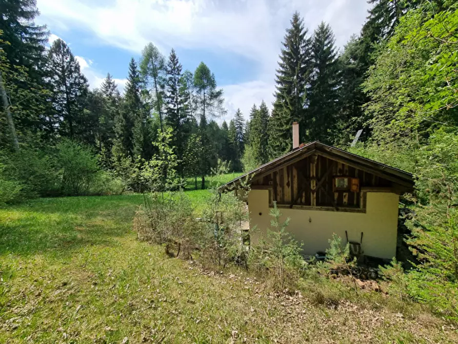 Immagine 54 di Casa indipendente in vendita  a Romeno