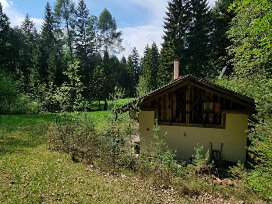 Immagine 55 di Casa indipendente in vendita  a Romeno