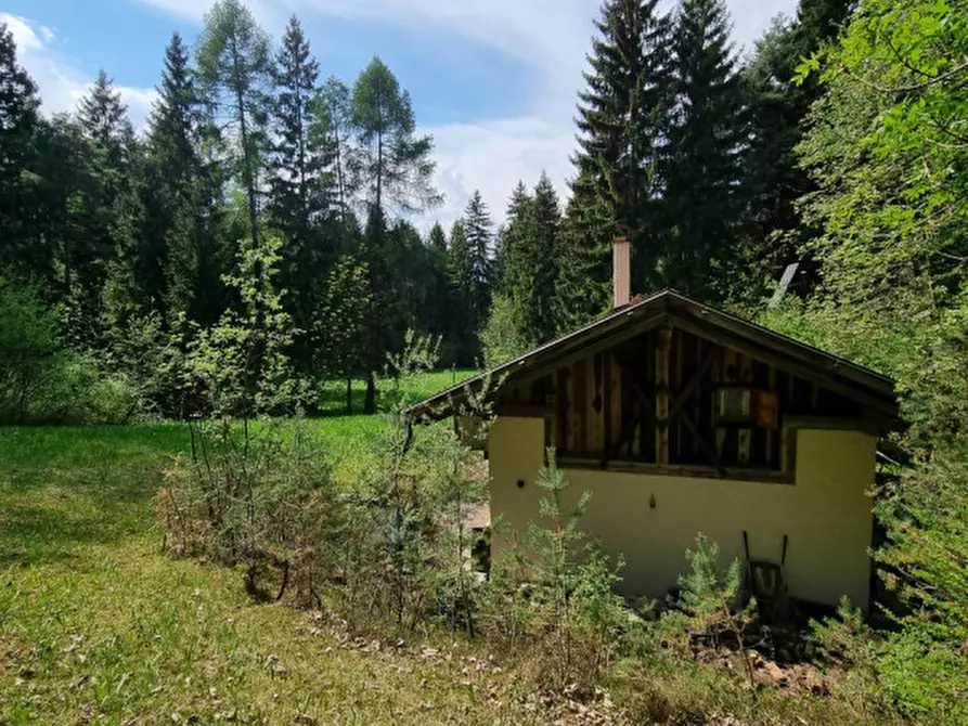 Immagine 56 di Casa indipendente in vendita  a Romeno