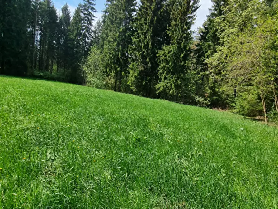 Immagine 59 di Casa indipendente in vendita  a Romeno