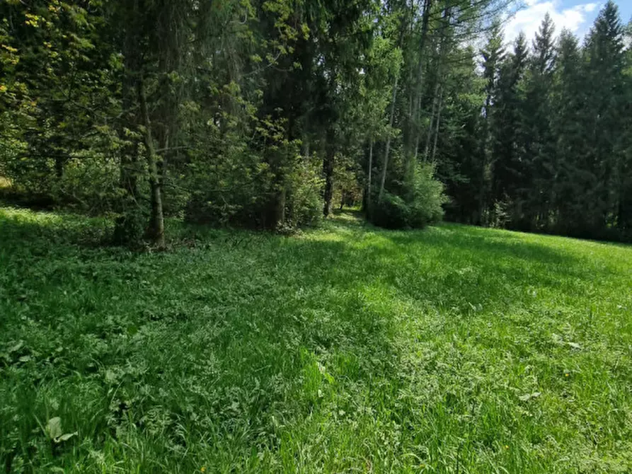 Immagine 61 di Casa indipendente in vendita  a Romeno