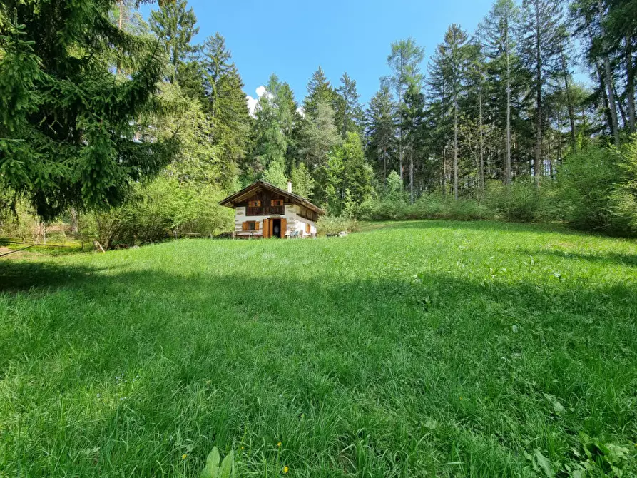 Immagine 62 di Casa indipendente in vendita  a Romeno