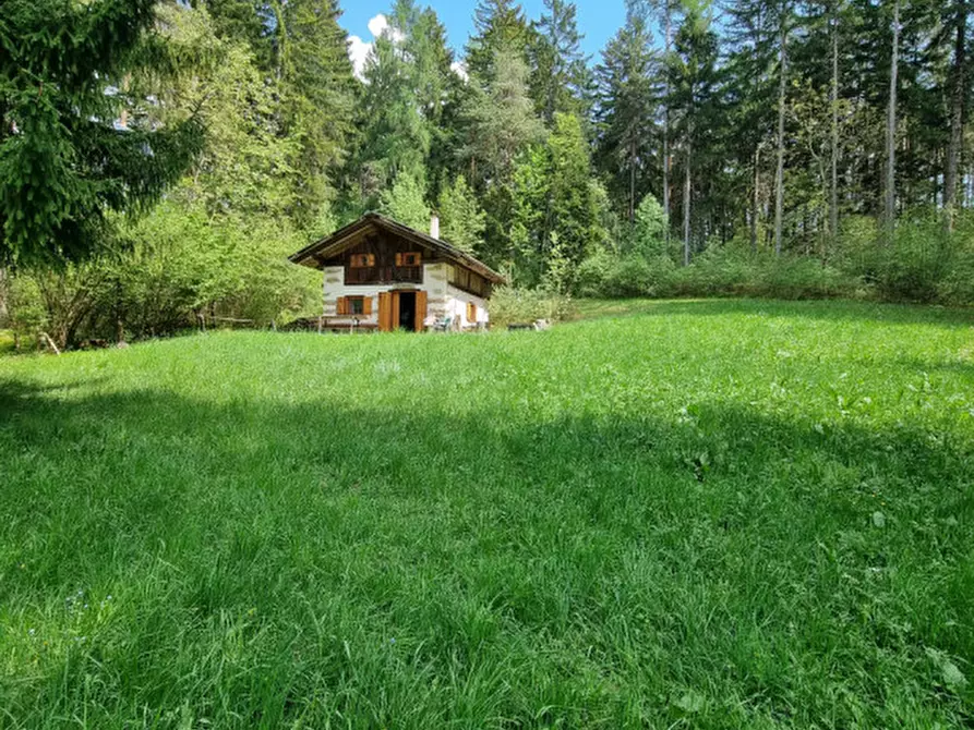 Immagine 63 di Casa indipendente in vendita  a Romeno