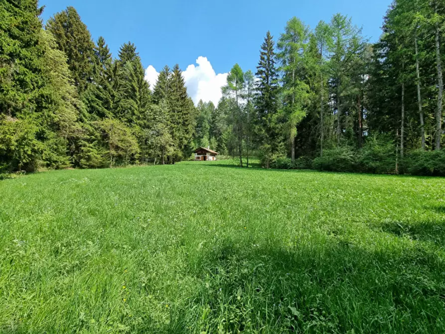 Immagine 64 di Casa indipendente in vendita  a Romeno