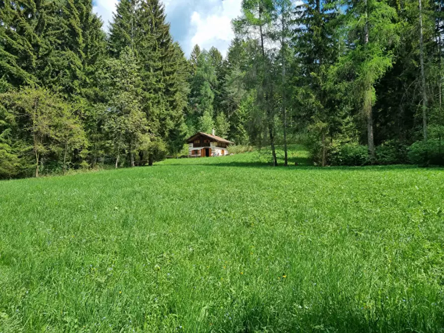 Immagine 65 di Casa indipendente in vendita  a Romeno