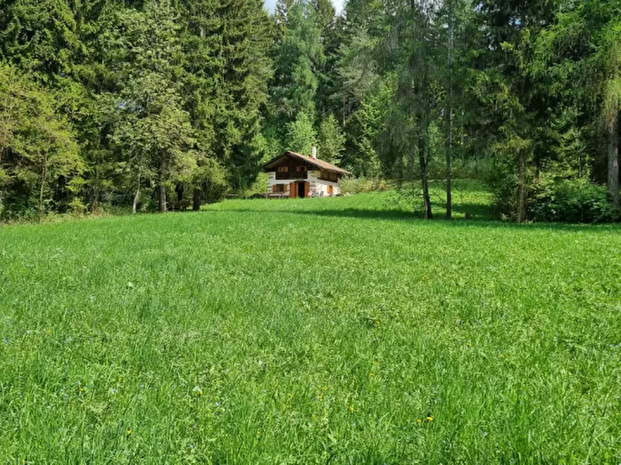 Immagine 66 di Casa indipendente in vendita  a Romeno