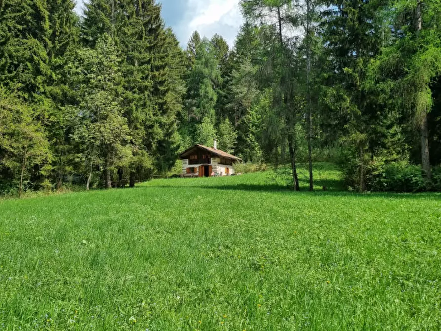 Immagine 67 di Casa indipendente in vendita  a Romeno