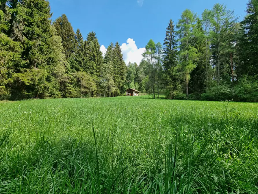 Immagine 68 di Casa indipendente in vendita  a Romeno