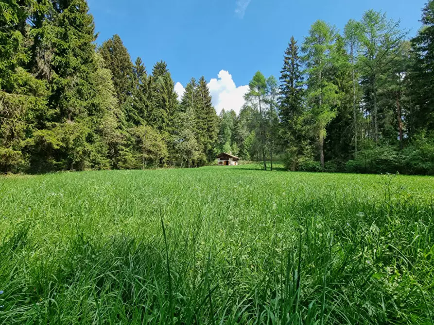 Immagine 69 di Casa indipendente in vendita  a Romeno