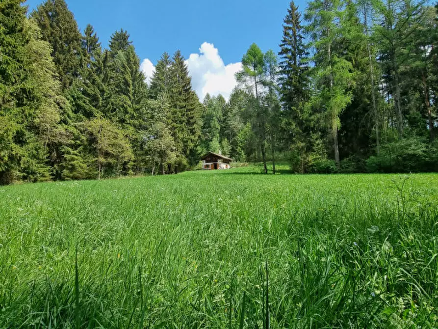 Immagine 70 di Casa indipendente in vendita  a Romeno