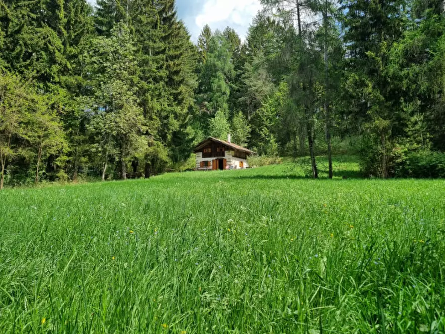 Immagine 71 di Casa indipendente in vendita  a Romeno