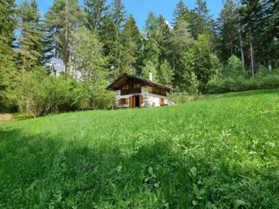 Immagine 74 di Casa indipendente in vendita  a Romeno