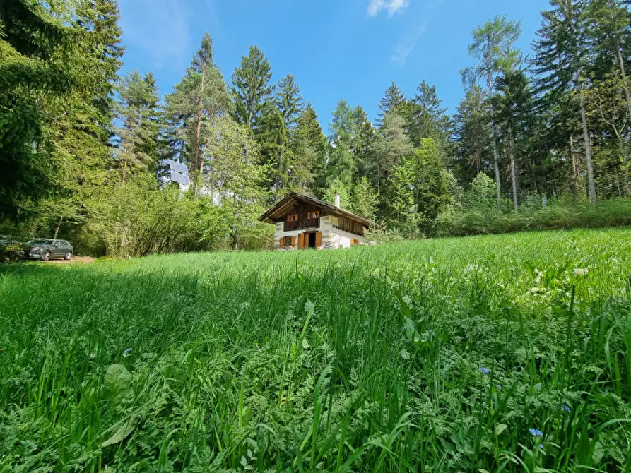 Immagine 75 di Casa indipendente in vendita  a Romeno
