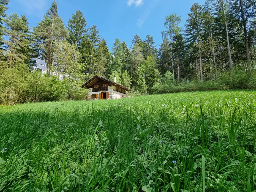 Immagine 76 di Casa indipendente in vendita  a Romeno