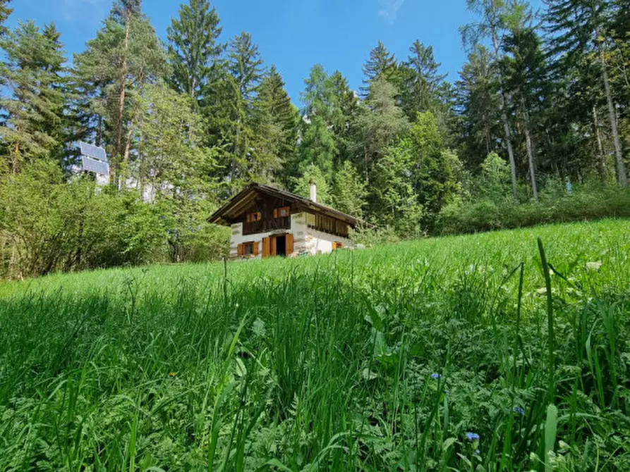 Immagine 77 di Casa indipendente in vendita  a Romeno